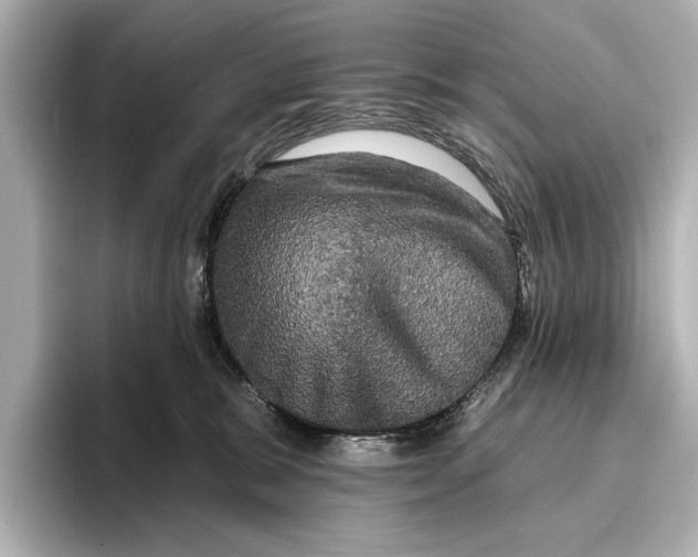 X0000095670327200802051235