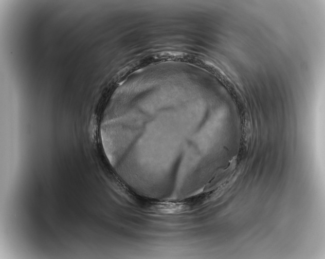 X0000095670328200802051235