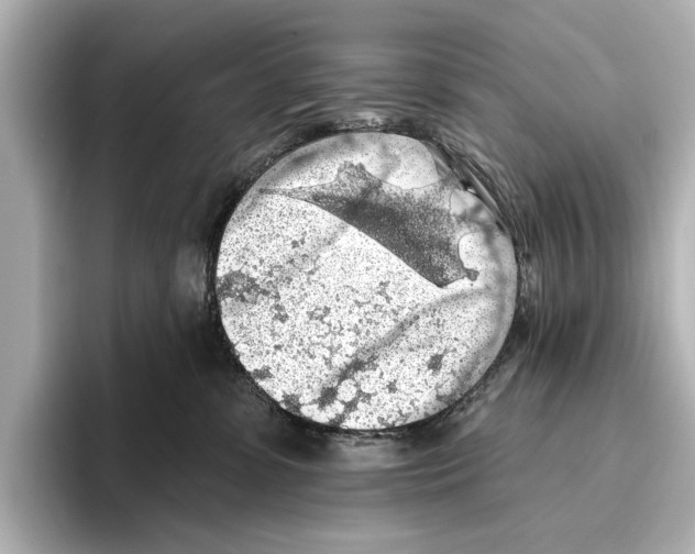 X0000095670331200802051235