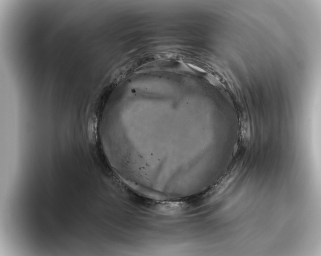 X0000095670332200802051235