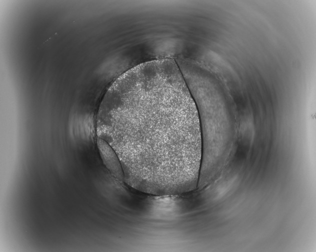 X0000095670335200802051235