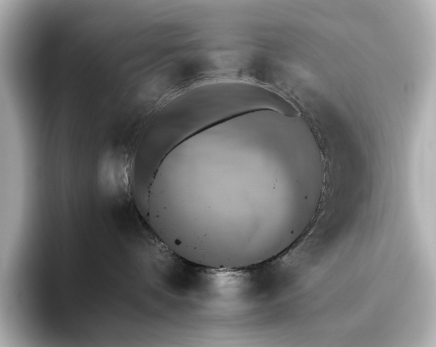 X0000095670336200802051235