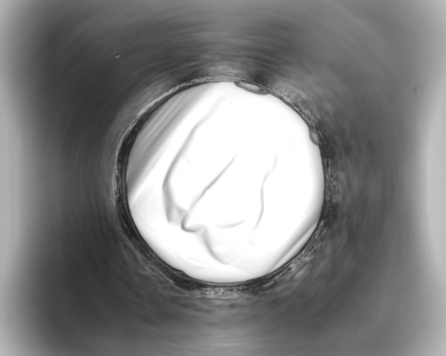 X0000095670338200802051235