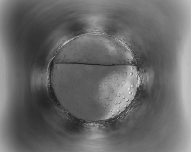 X0000095670339200802051235