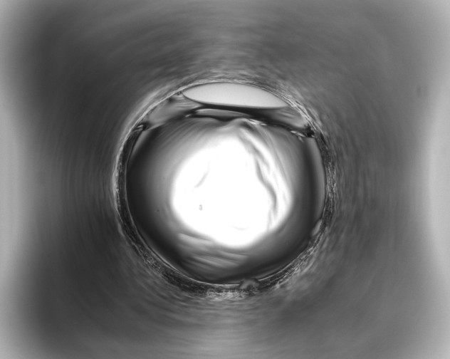 X0000095670340200802051235