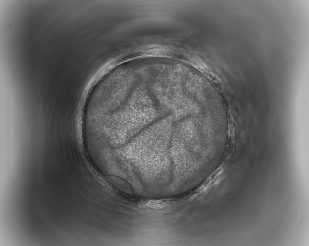 X0000095670341200802051235