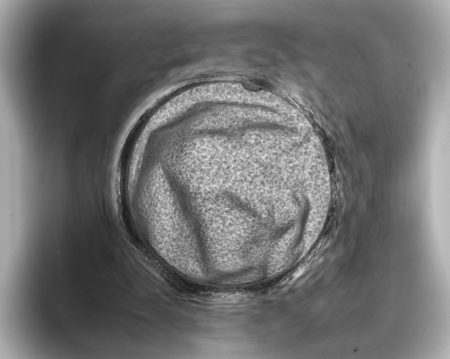 X0000095670342200802051235