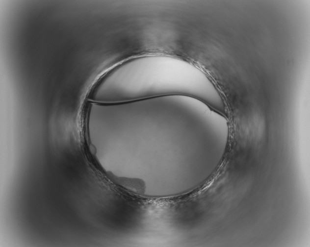 X0000095670343200802051235