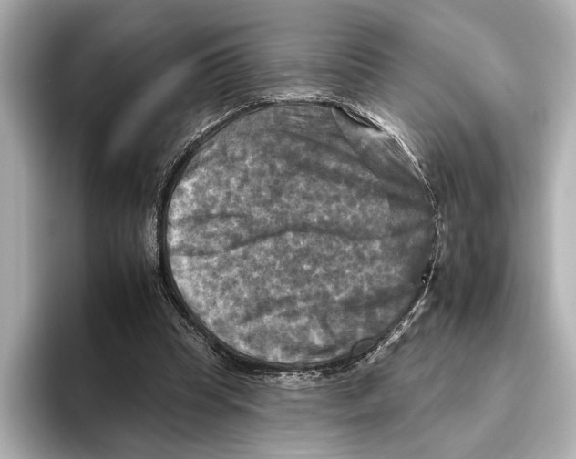 X0000095670345200802051235