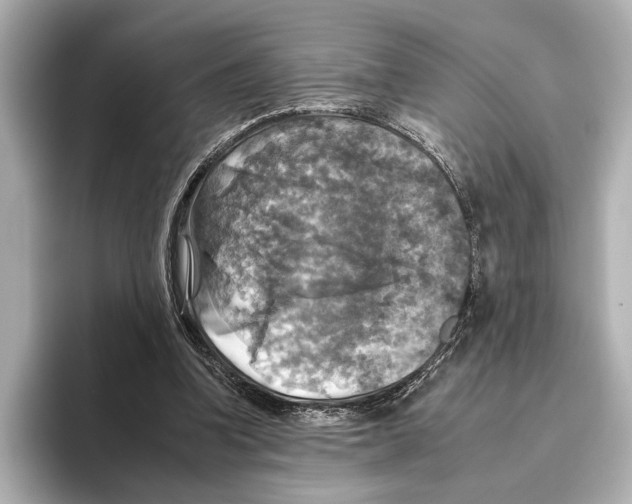 X0000095670346200802051235