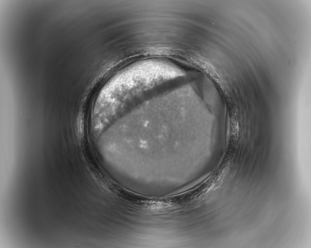 X0000095670347200802051235