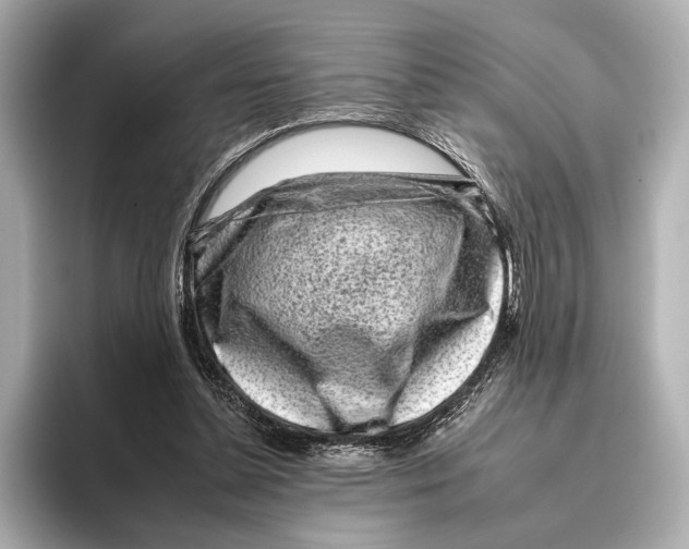 X0000095670348200802051235