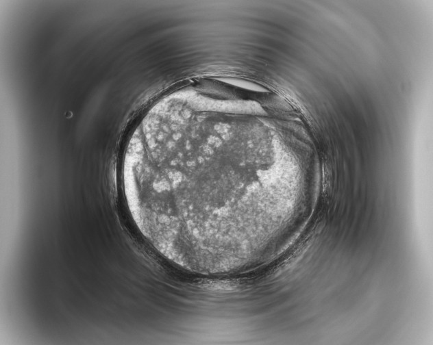 X0000095670349200802051235