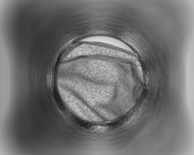 X0000095670352200802051235