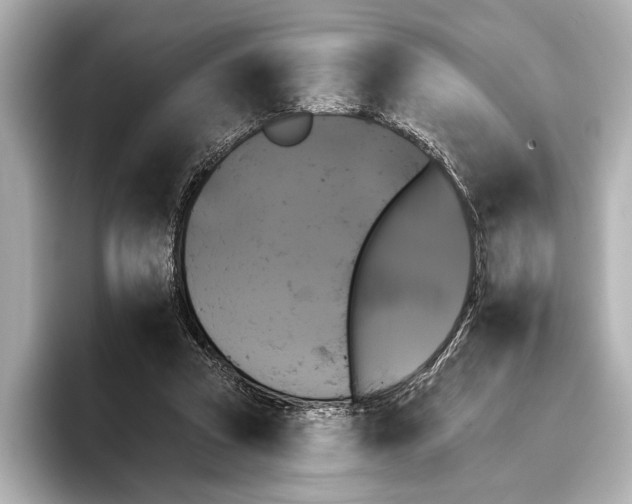 X0000095670353200802051235