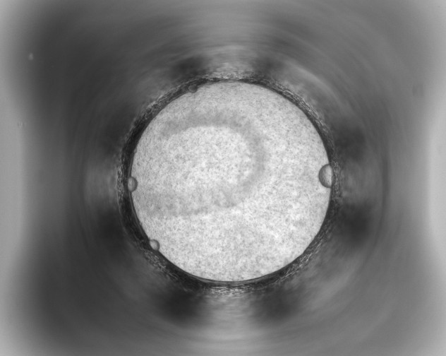 X0000095670354200802051235