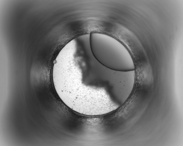 X0000095670357200802051235