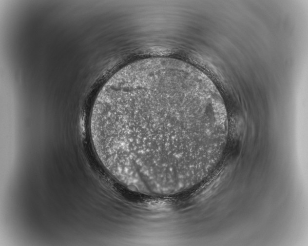 X0000095670358200802051235