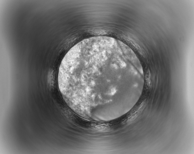 X0000095670359200802051235