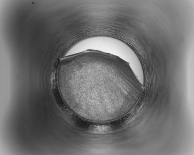 X0000095670360200802051235