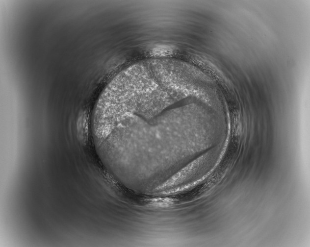 X0000095670363200802051235