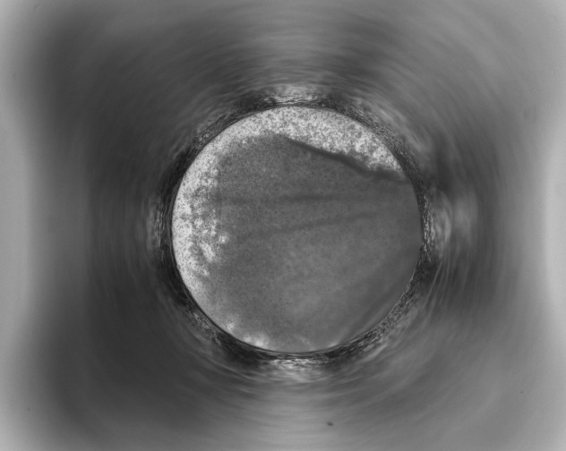 X0000095670367200802051235