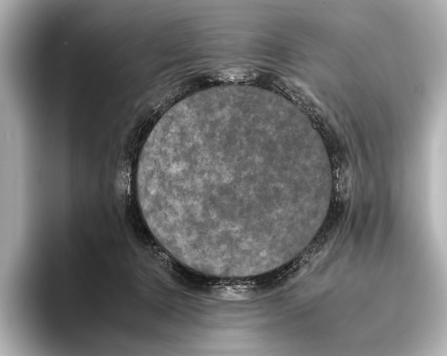 X0000095670368200802051235