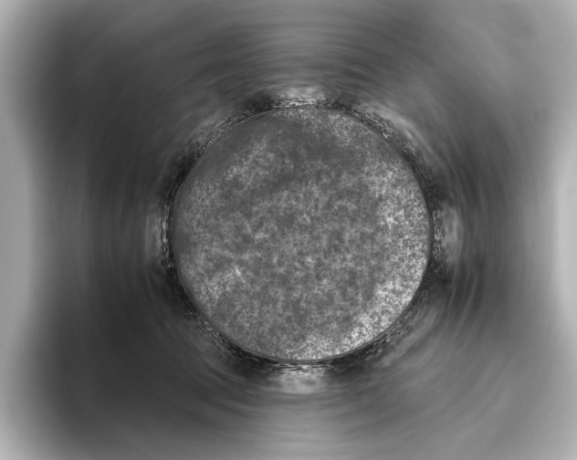 X0000095670369200802051235