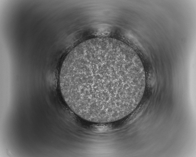 X0000095670370200802051235