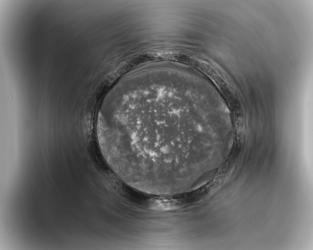 X0000095670372200802051235