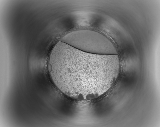 X0000095670373200802051235