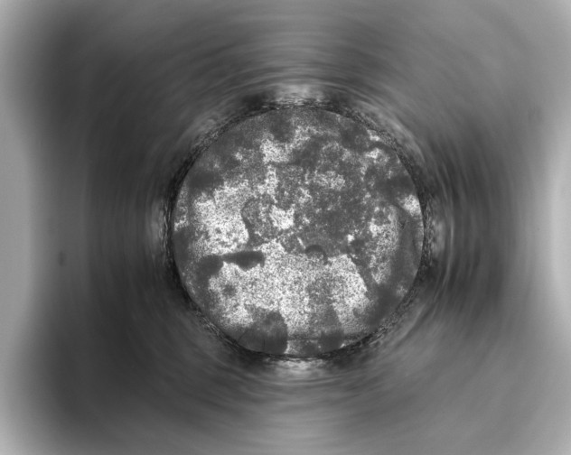 X0000095670375200802051235