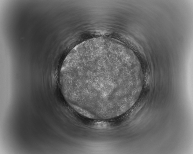 X0000095670376200802051235