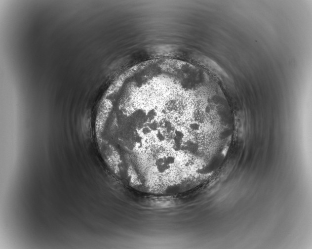 X0000095670377200802051235