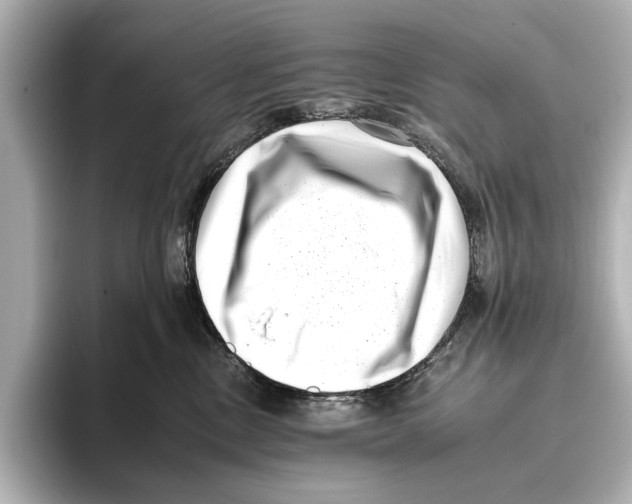 X0000095670378200802051235