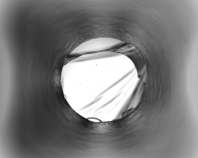 X0000095670384200802051235