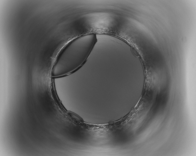 X0000095670386200802051235