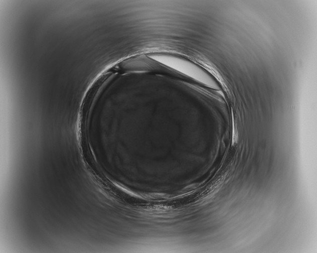 X0000095670387200802051235