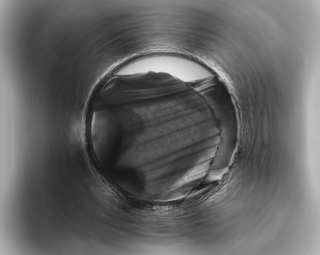 X0000095670391200802051235