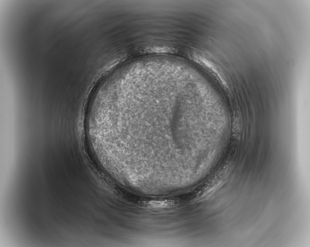 X0000095670394200802051235