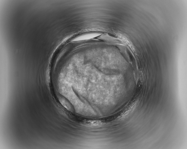 X0000095670395200802051235