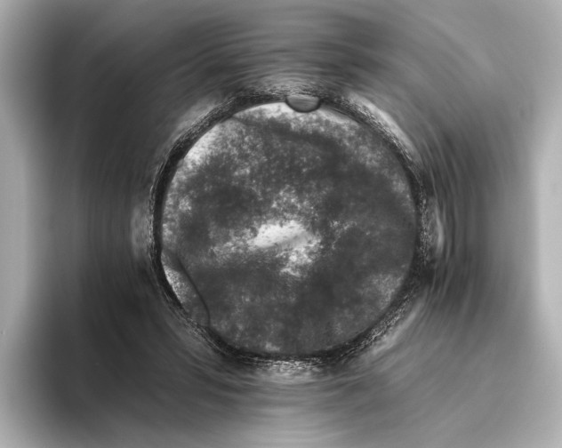 X0000095670399200802051235