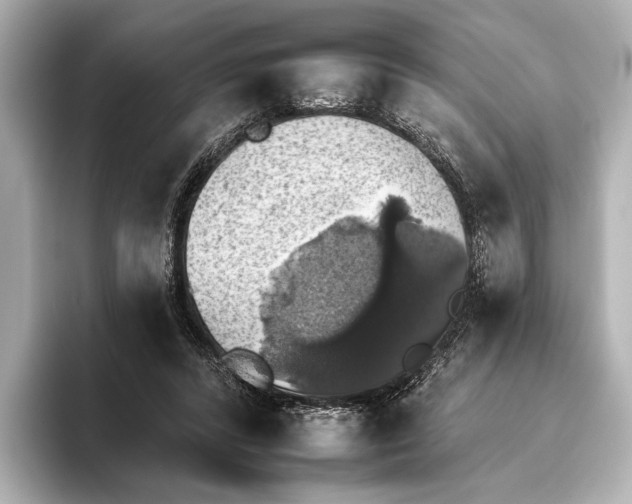 X0000095670400200802051235