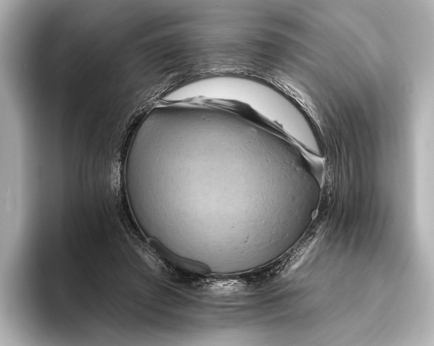 X0000095670401200802051235
