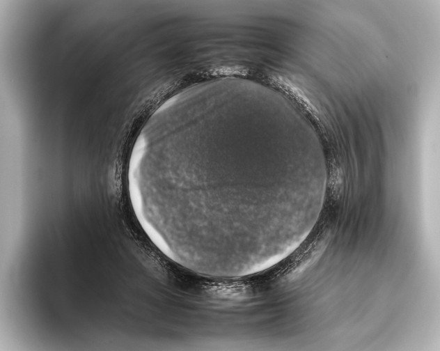 X0000095670402200802051234