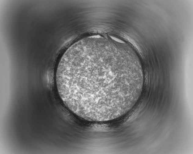 X0000095670403200802051234