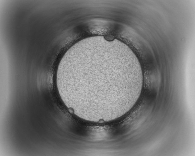 X0000095670404200802051234