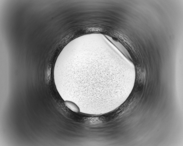 X0000095670406200802051234