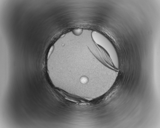 X0000095670407200802051234