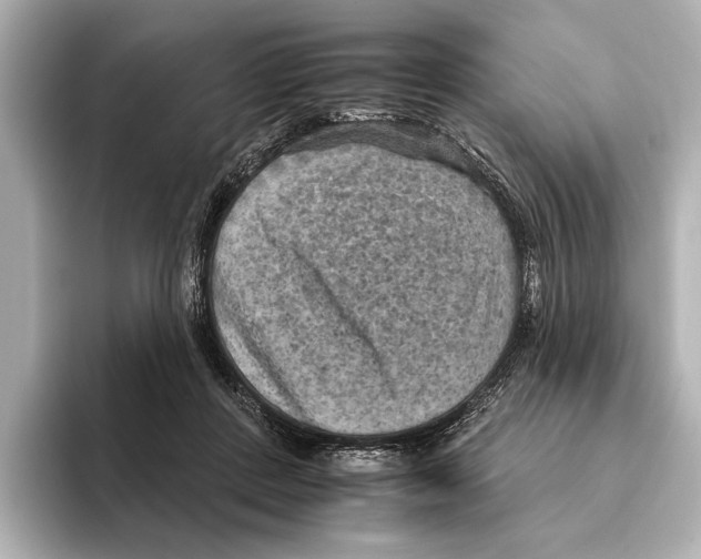 X0000095670408200802051234